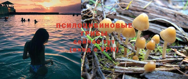 скорость Магас